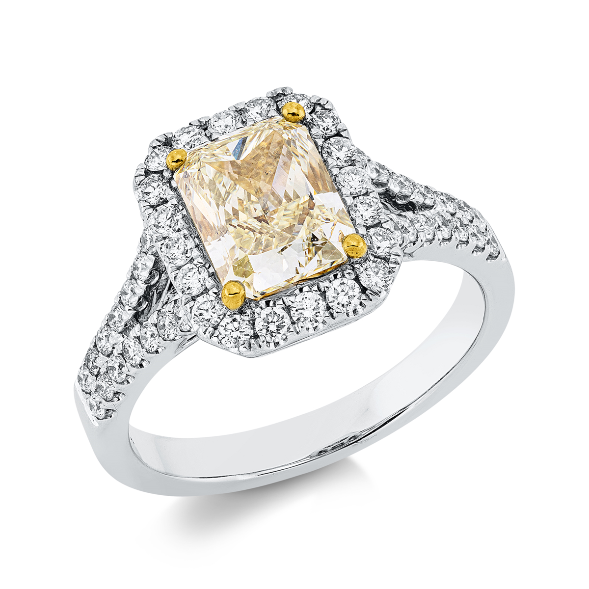 diamond full cut  fancy colored diamond ring in white gold / yellow gold